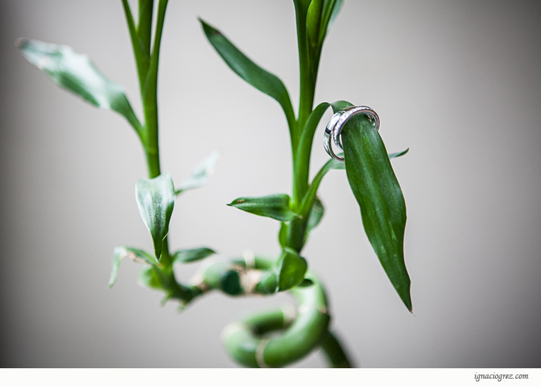 reportage photo mariage paris